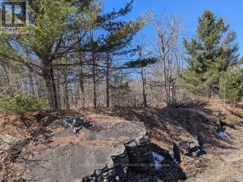 Lot 3 - 36 County Road, Rideau Lakes, Ontario  K0G 1X0 - Photo 3 - X12077693