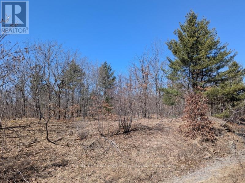 Lot 3 - 36 County Road, Rideau Lakes, Ontario  K0G 1X0 - Photo 5 - X12077693