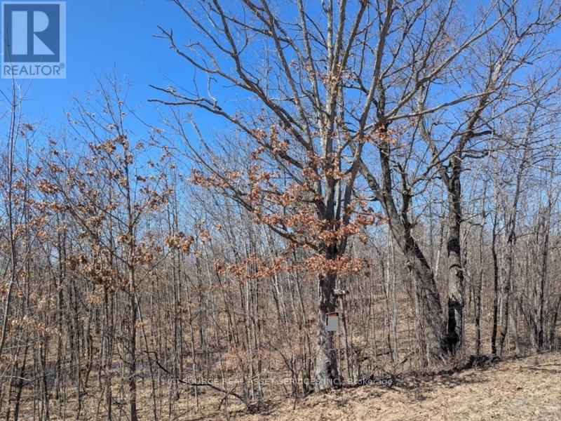 Lot 3 - 36 County Road, Rideau Lakes, Ontario  K0G 1X0 - Photo 8 - X12077693