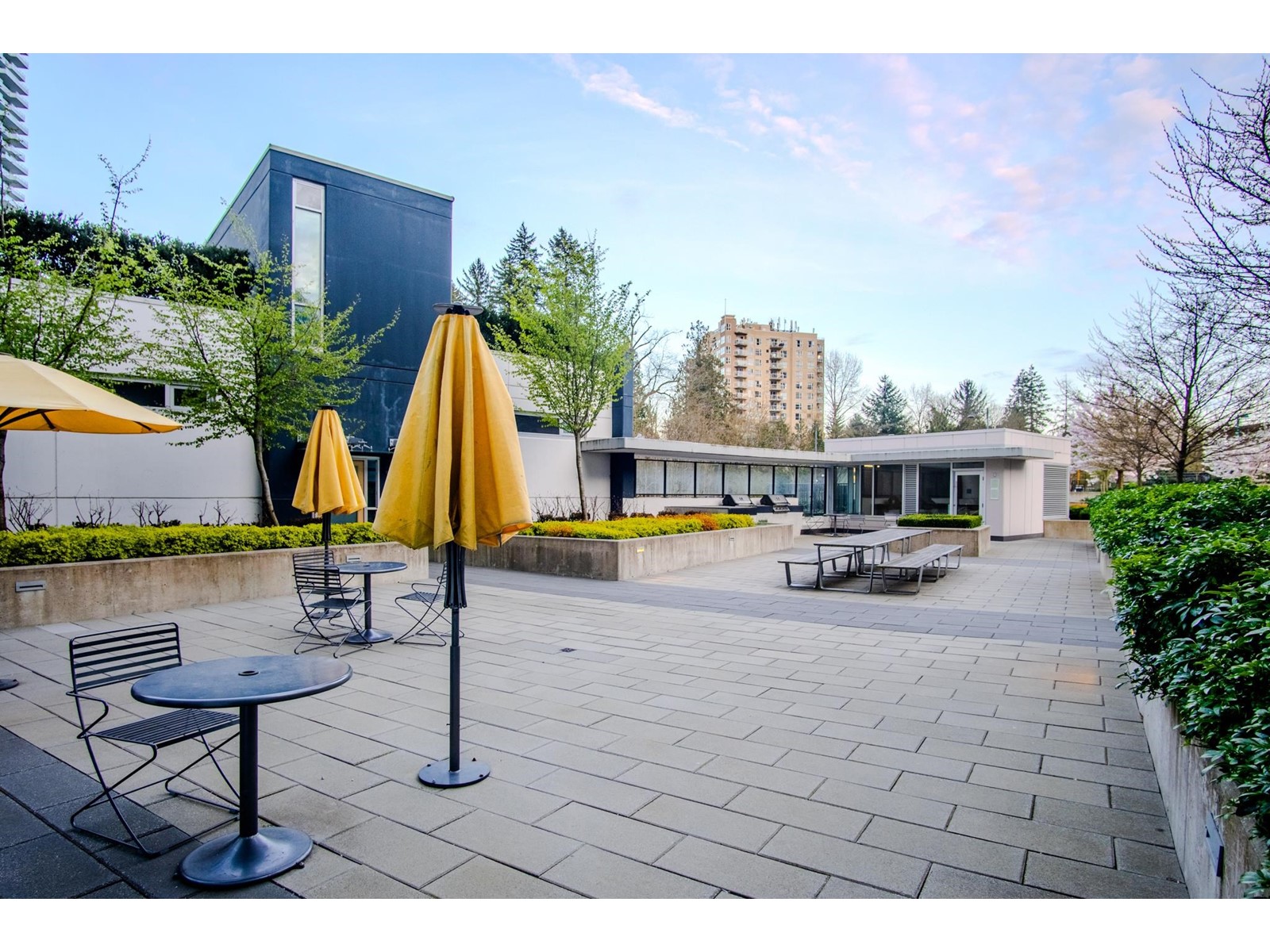 4102 9887 Whalley Boulevard, Surrey, British Columbia  V3T 0P4 - Photo 34 - R2987191