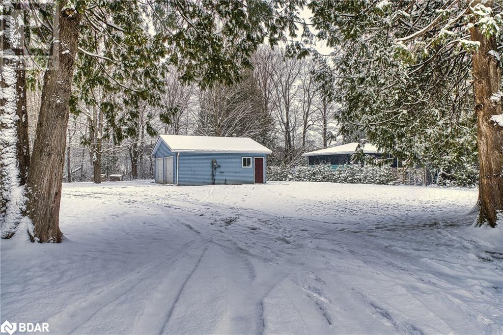 201 Cedars Resort Lane, Flesherton, Ontario  N0C 1E0 - Photo 3 - 40716160