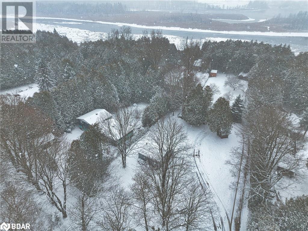 201 Cedars Resort Lane, Flesherton, Ontario  N0C 1E0 - Photo 8 - 40716160