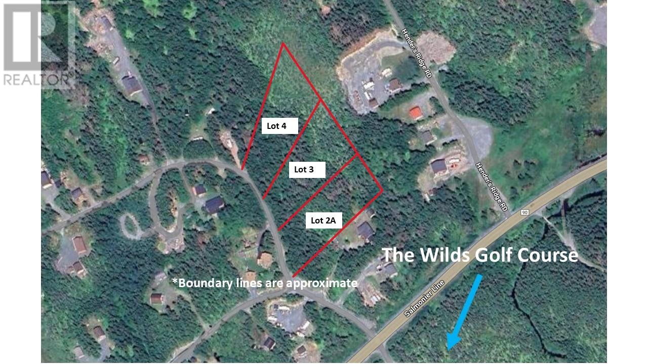 Lot 4 Fraser Sub-Division, Forest Field Area /salmonier Line, Newfoundland & Labrador  A0A 2R0 - Photo 1 - 1282911