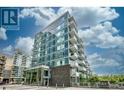 501, 138 Waterfront Court SW Chinatown
