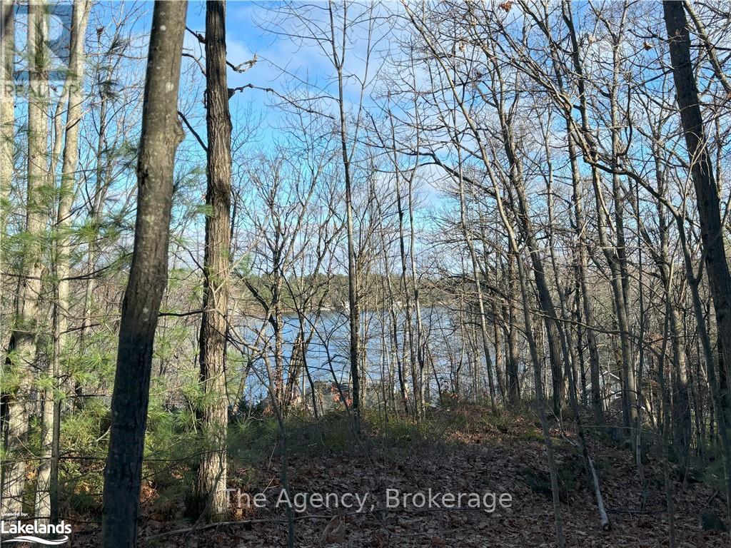 1766 Muskoka Road 169 Road, Gravenhurst, Ontario  P1P 1R2 - Photo 2 - X12077892