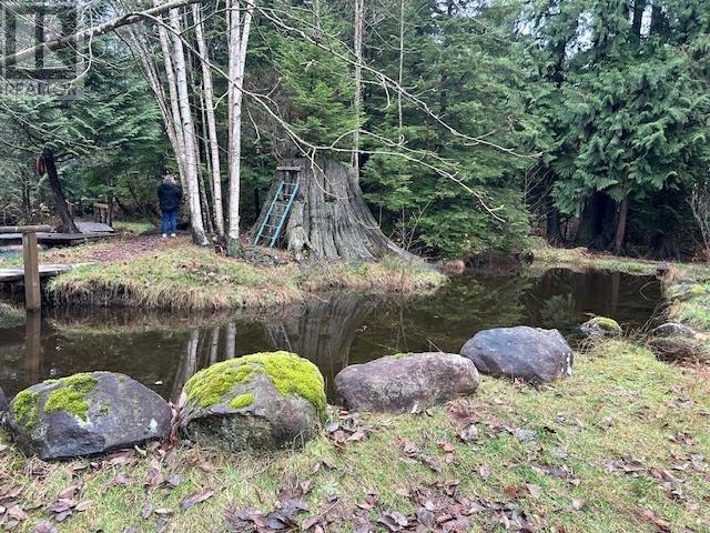 28316 Dewdney Trunk Road, Maple Ridge, British Columbia  V2W 1M1 - Photo 36 - R2989350