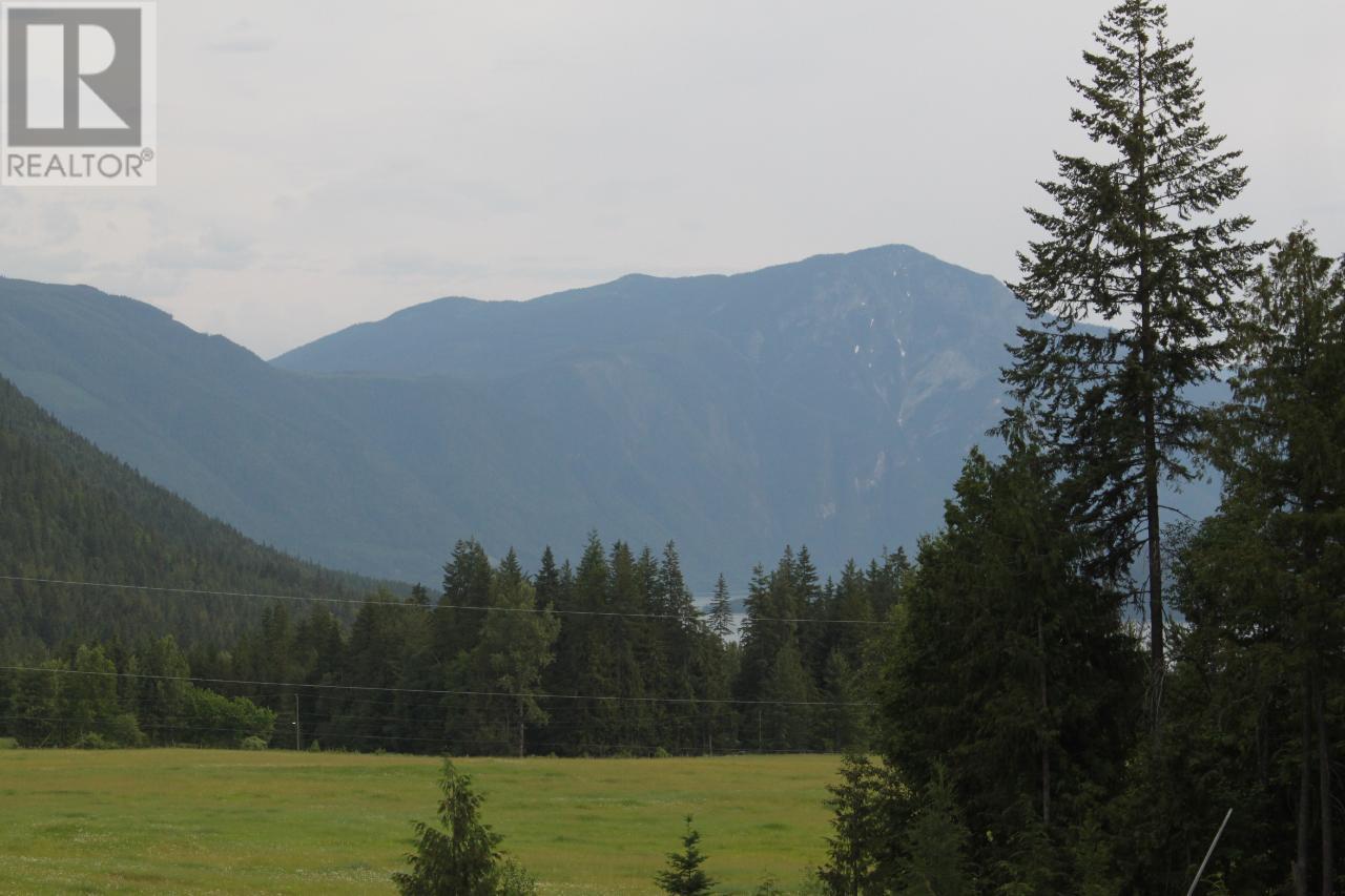 736 Bartley Road, Nakusp, British Columbia  V0G 1R1 - Photo 6 - 10343001