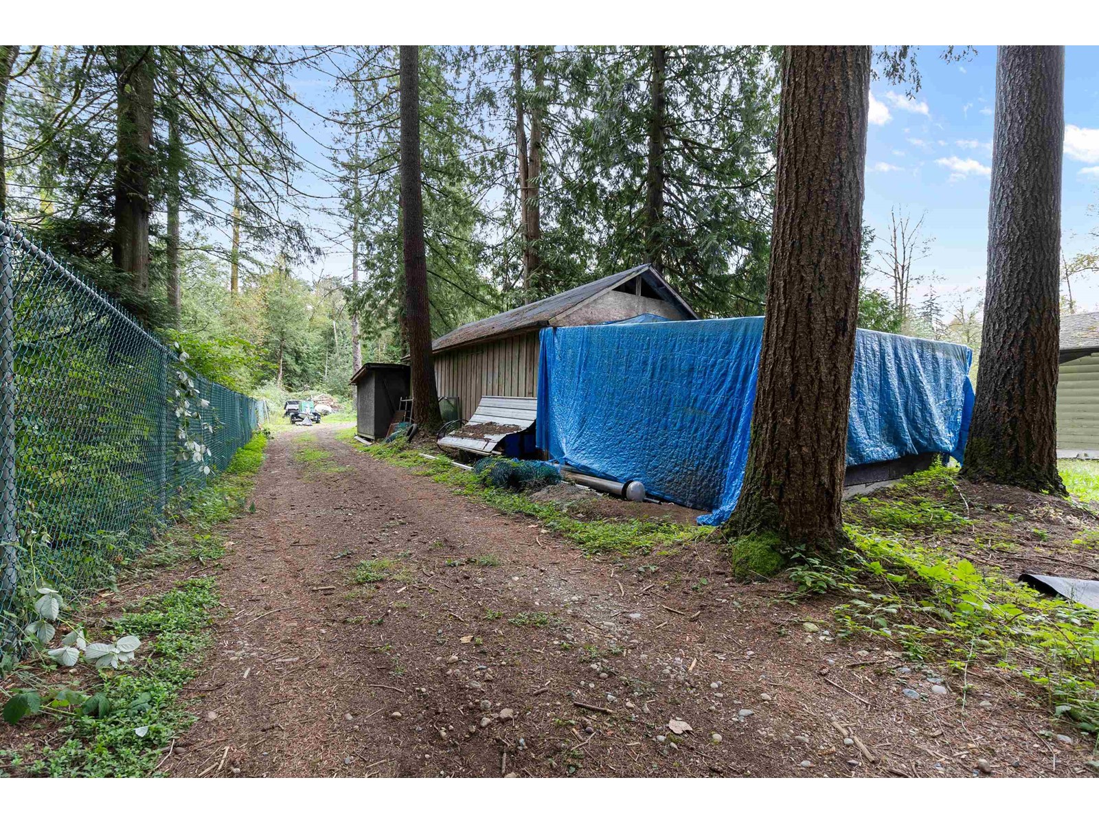 18478 94 Avenue, Surrey, British Columbia  V4N 4P9 - Photo 6 - R2989395