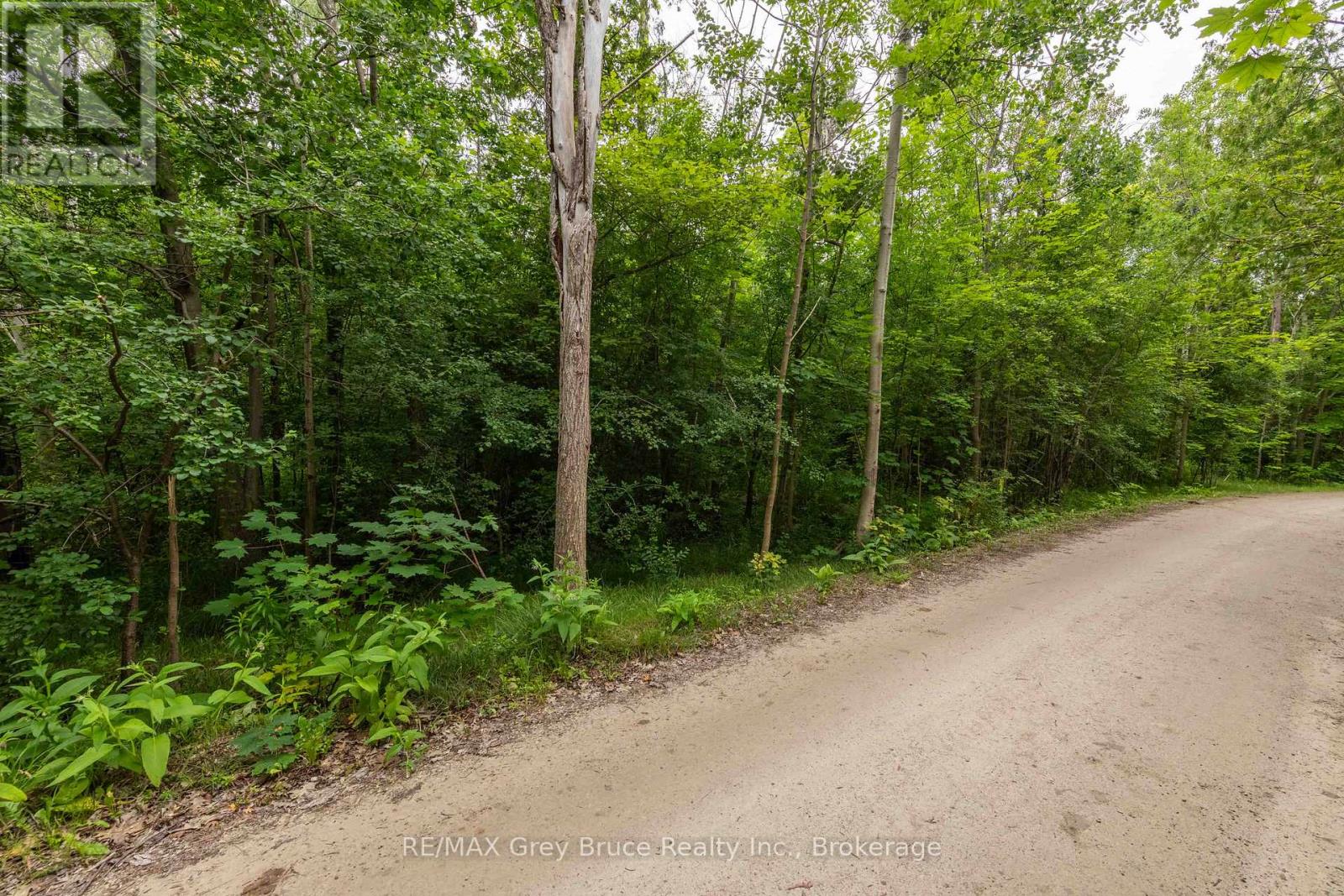 0 Cedar Avenue, Meaford, Ontario  N4L 1W5 - Photo 14 - X12077990