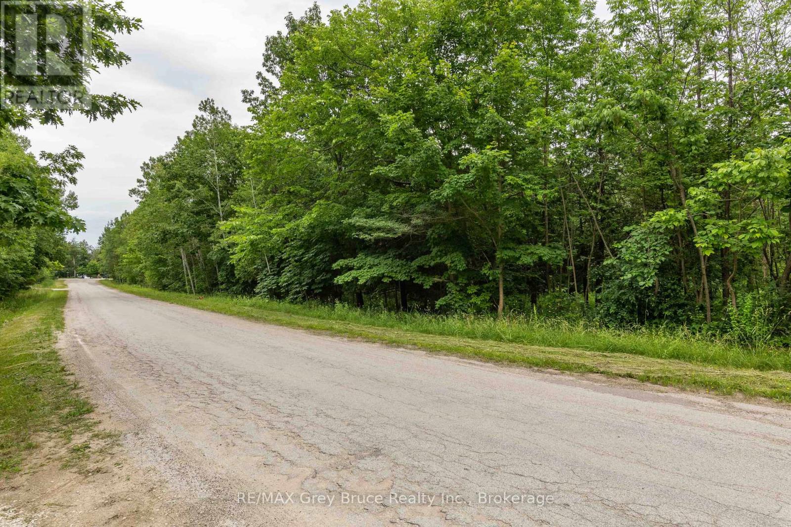 0 Cedar Avenue, Meaford, Ontario  N4L 1W5 - Photo 5 - X12077990