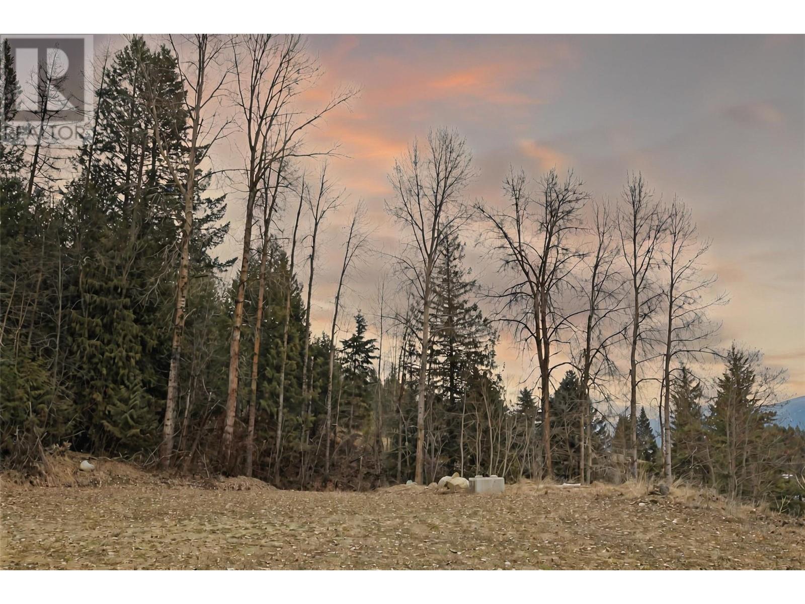 Lot B Elsie Holmes Road, Wynndel, British Columbia  V0B 2N0 - Photo 11 - 10340068