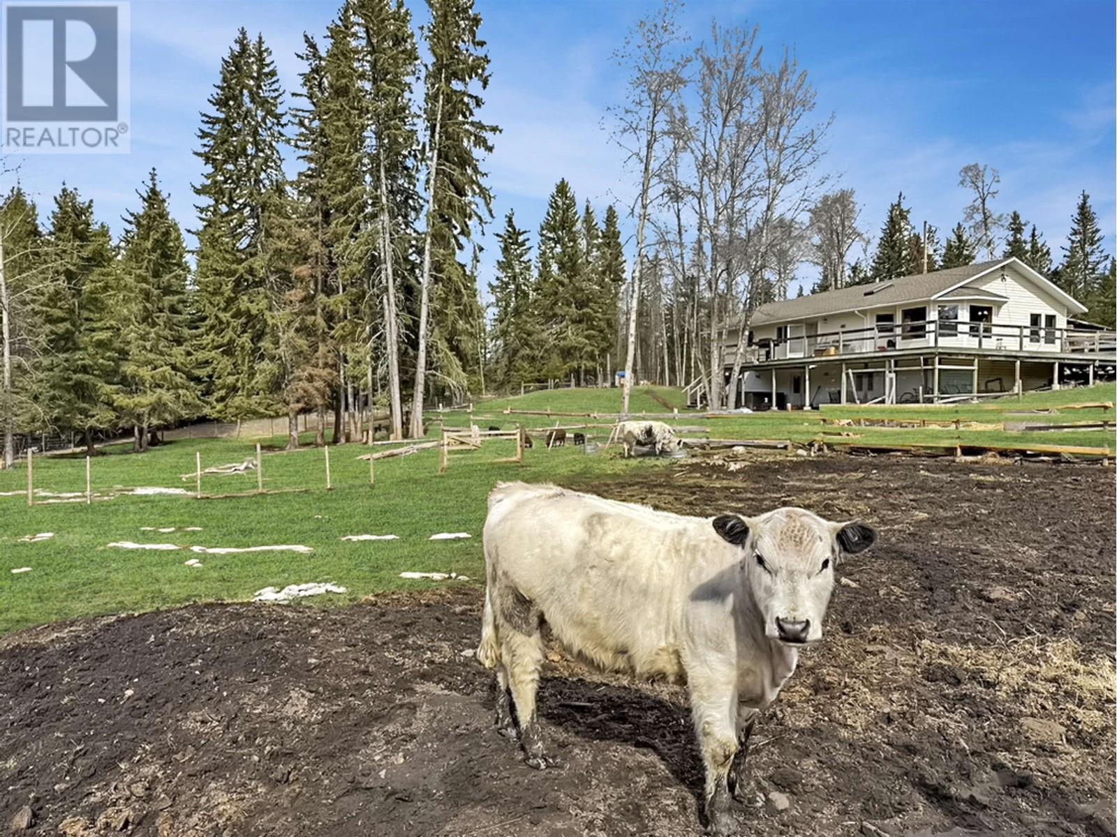 3736 Spokin Lake Road, 150 Mile House, British Columbia  V0K 2G0 - Photo 1 - R2989292