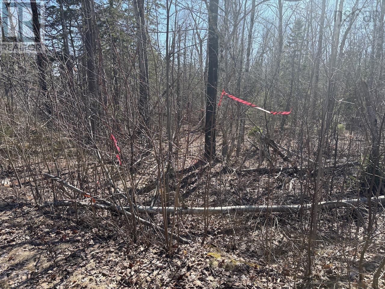 Black Lake, No 104 Highway, Black Lake, Nova Scotia  B0M 1X0 - Photo 5 - 202507659