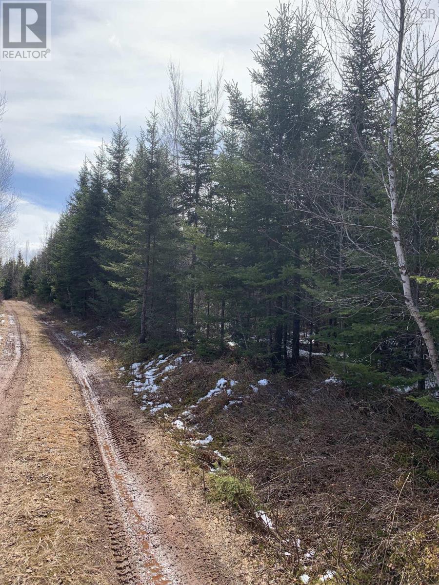 Lot Hunter West Road, Wentworth Valley Preserve, Wentworth Valley, Nova Scotia  B0M 1Z0 - Photo 6 - 202507664