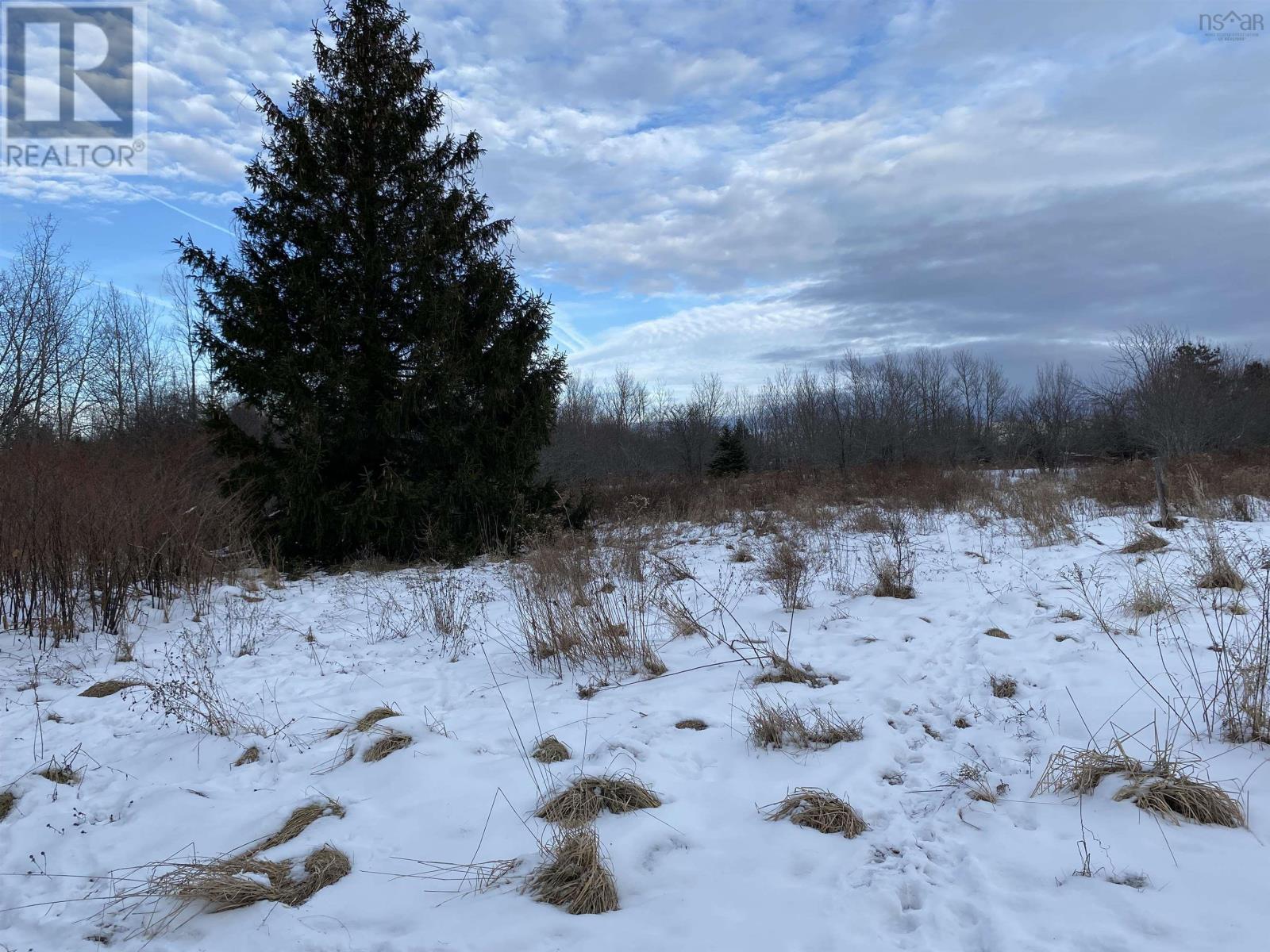 Lot 234 Wellington Street, Pictou, Nova Scotia  B0K 1H0 - Photo 1 - 202501184