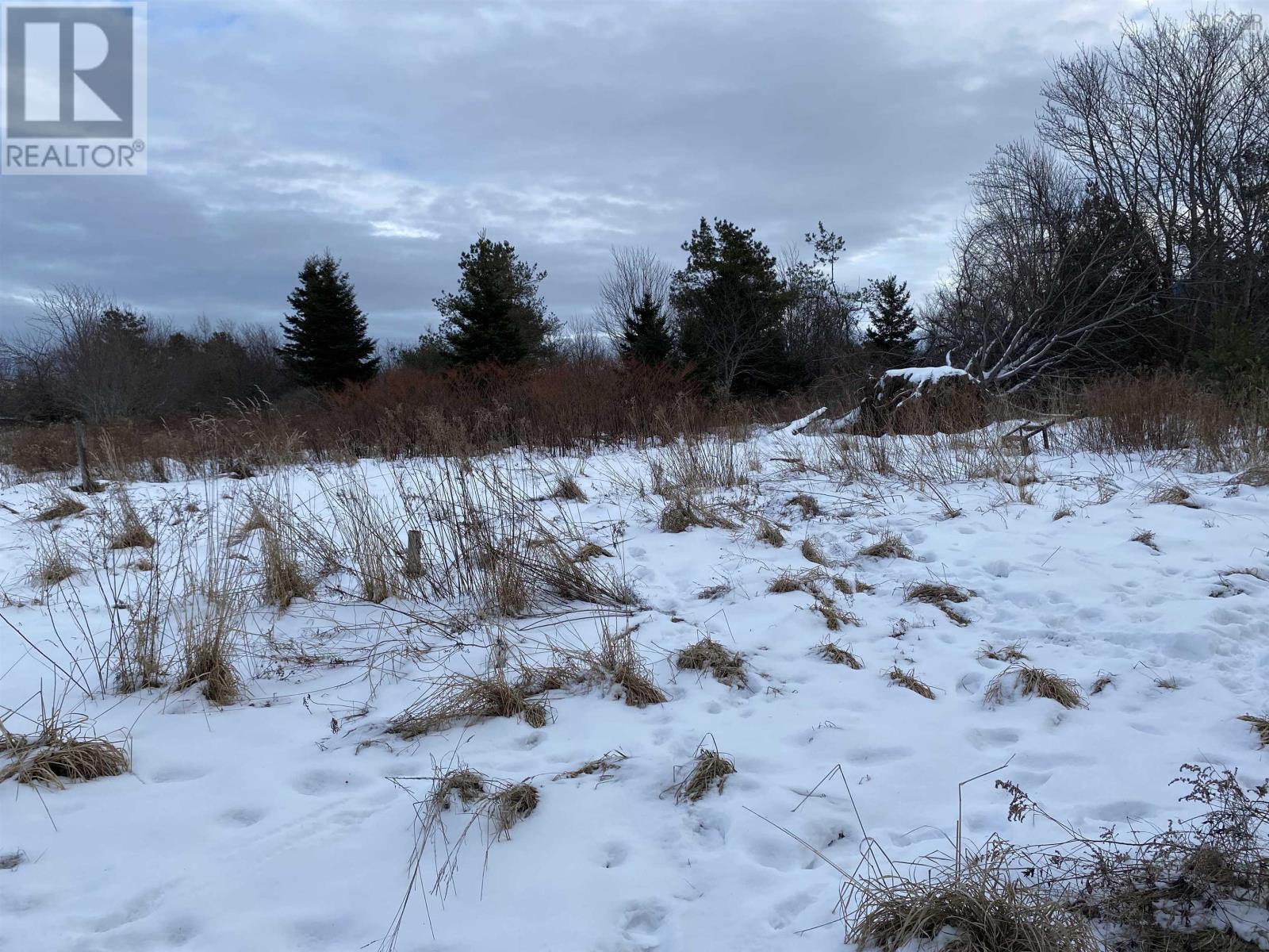 Lot 234 Wellington Street, Pictou, Nova Scotia  B0K 1H0 - Photo 2 - 202501184