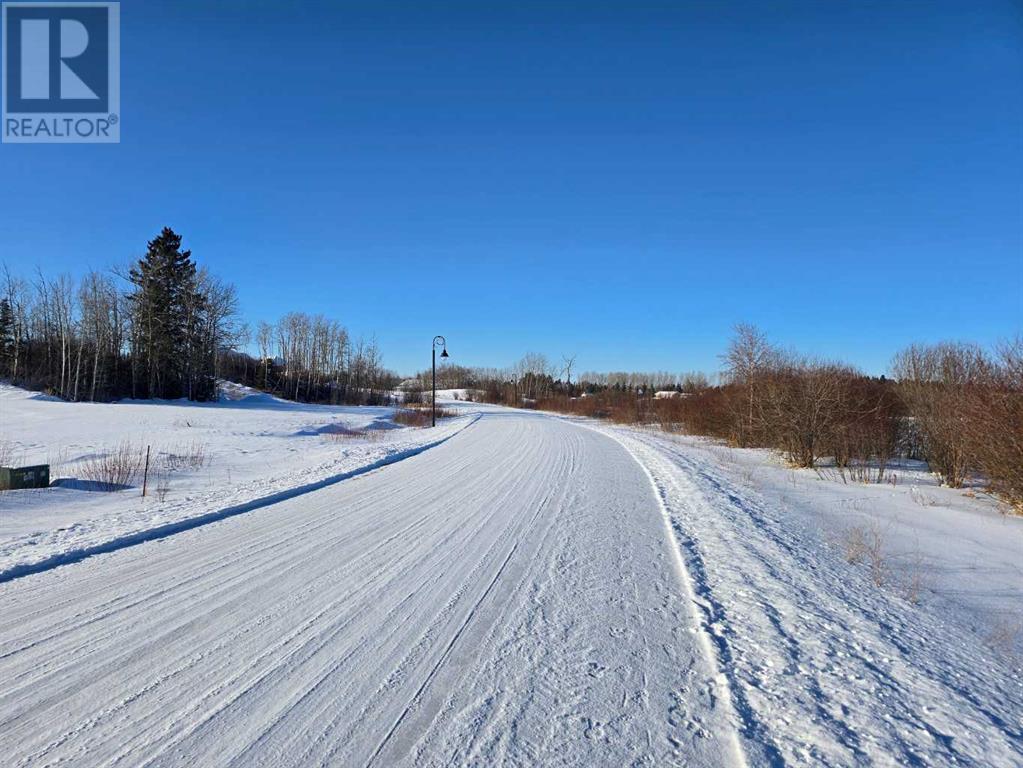 309 Wolf Run Drive, Rural Ponoka County, Alberta  T4J 0B3 - Photo 19 - A2194603