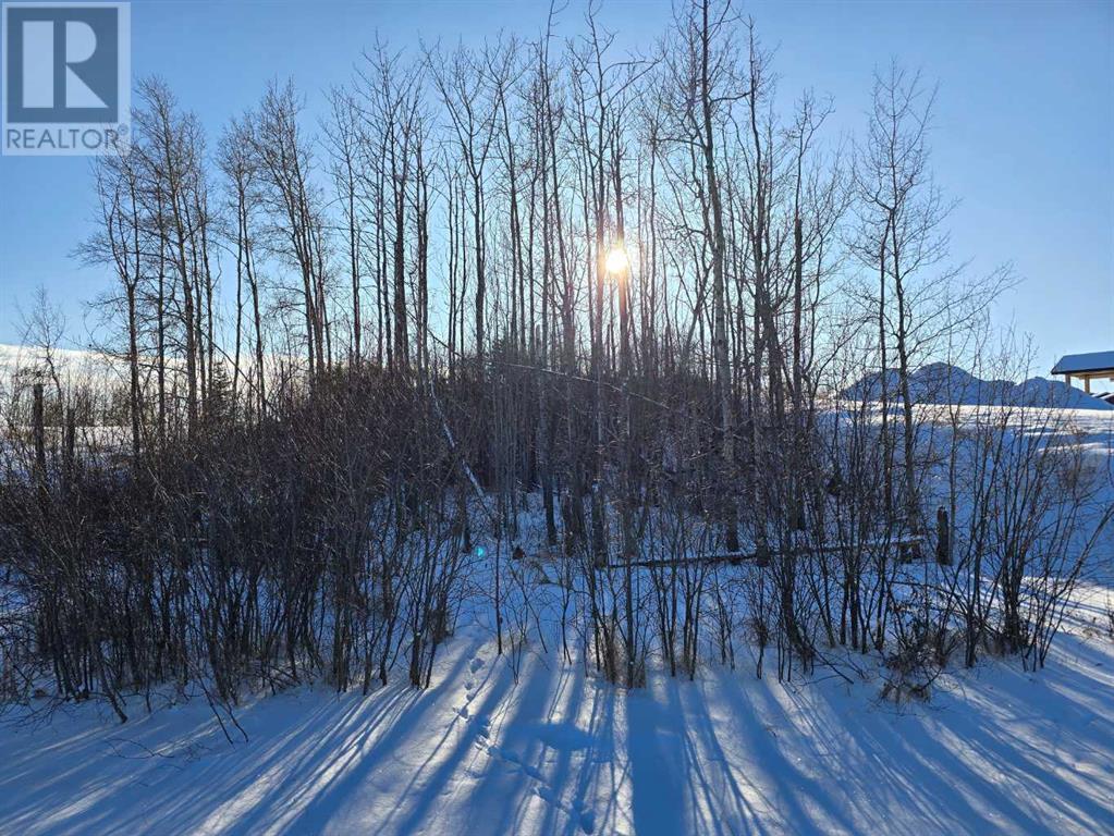 309 Wolf Run Drive, Rural Ponoka County, Alberta  T4J 0B3 - Photo 22 - A2194603