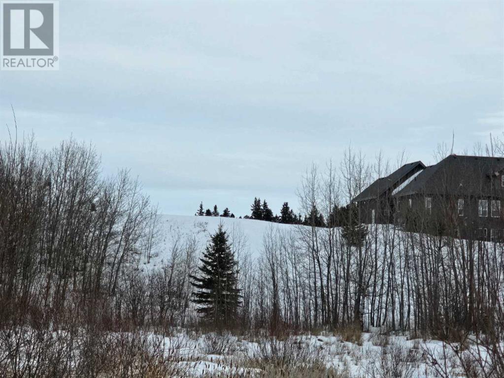 309 Wolf Run Drive, Rural Ponoka County, Alberta  T4J 0B3 - Photo 28 - A2194603