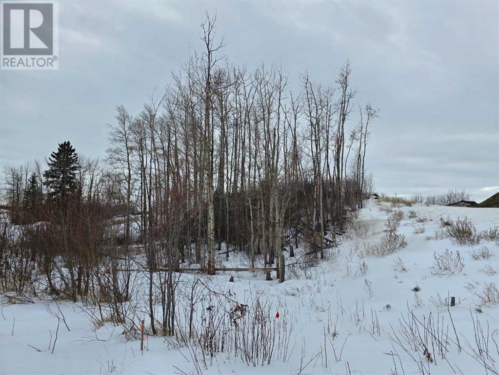 309 Wolf Run Drive, Rural Ponoka County, Alberta  T4J 0B3 - Photo 30 - A2194603