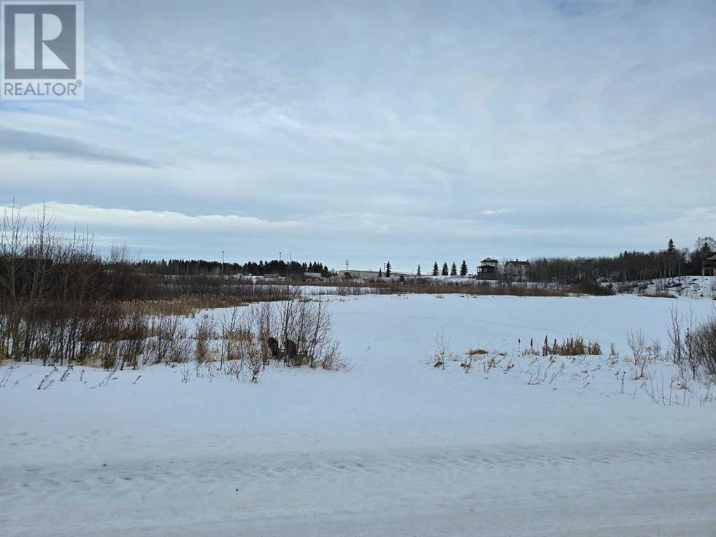 309 Wolf Run Drive, Rural Ponoka County, Alberta  T4J 0B3 - Photo 27 - A2194603