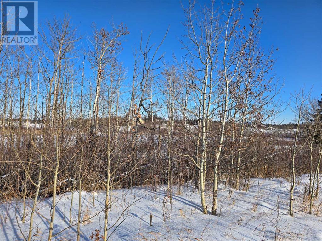 309 Wolf Run Drive, Rural Ponoka County, Alberta  T4J 0B3 - Photo 23 - A2194603