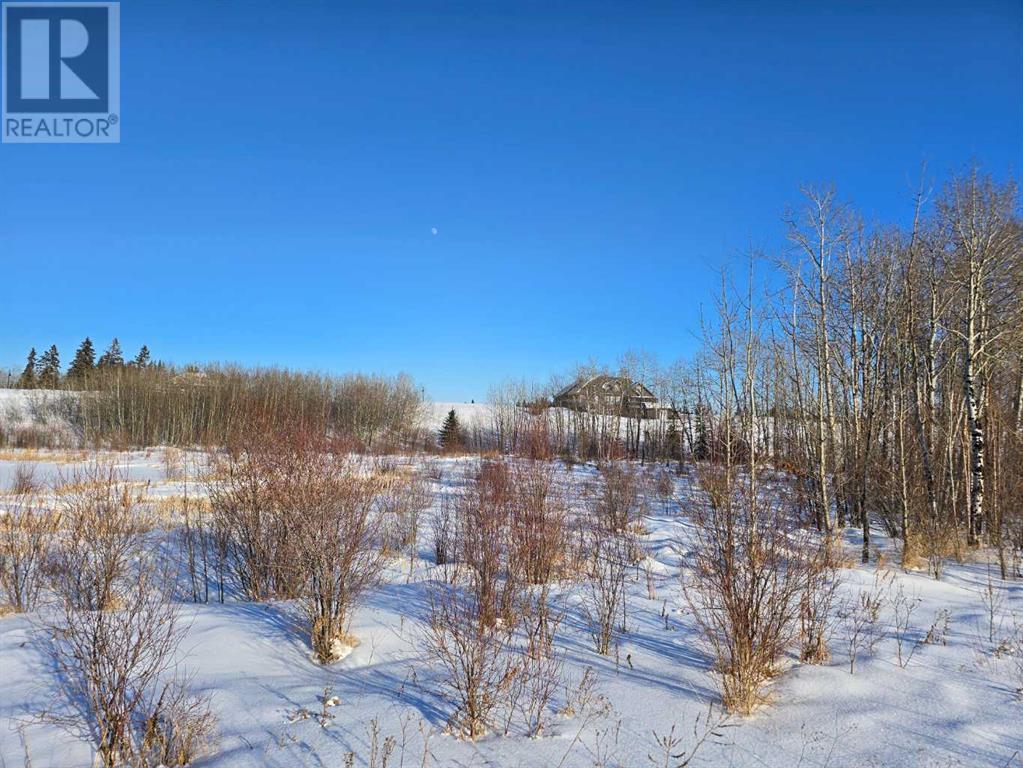 414 Sand Hills Drive, Rural Ponoka County, Alberta  T4J 0B3 - Photo 24 - A2194610