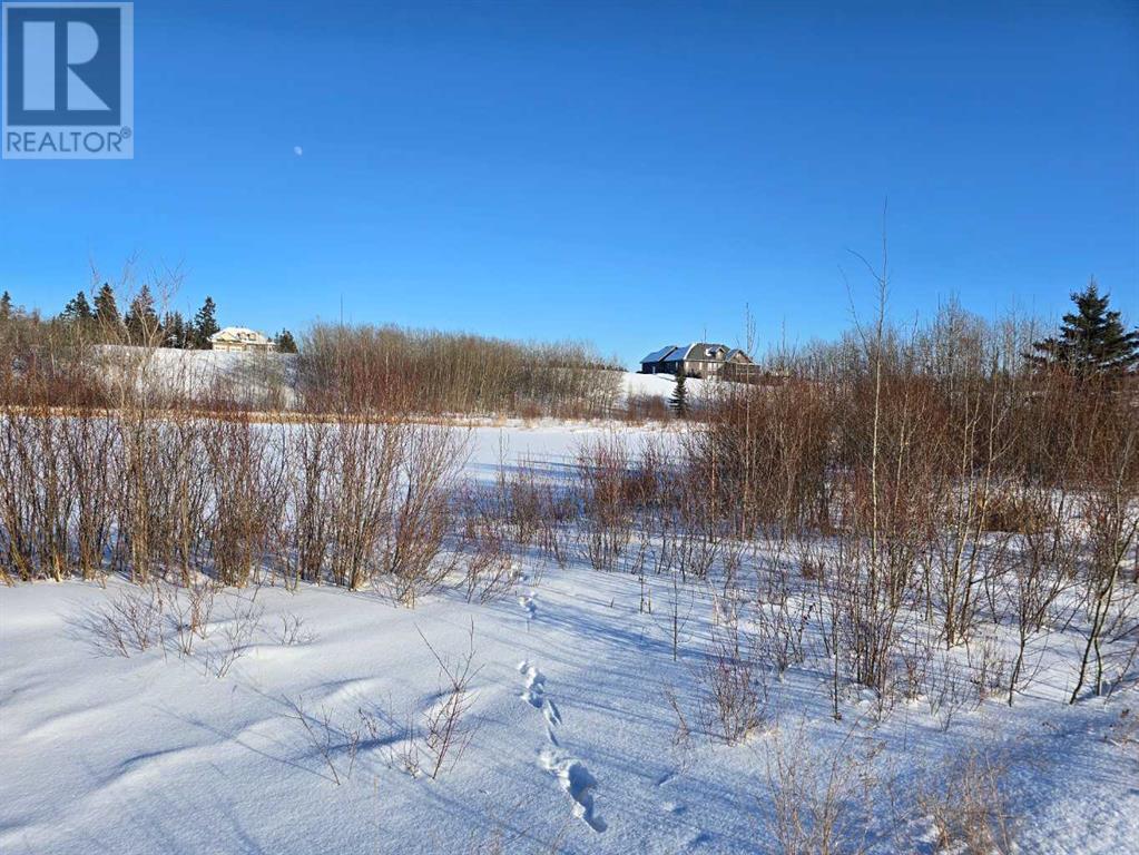414 Sand Hills Drive, Rural Ponoka County, Alberta  T4J 0B3 - Photo 23 - A2194610