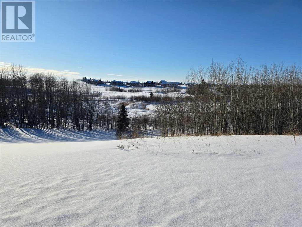 414 Sand Hills Drive, Rural Ponoka County, Alberta  T4J 0B3 - Photo 21 - A2194610