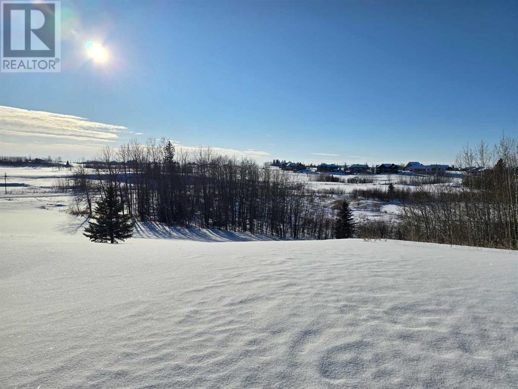 414 Sand Hills Drive, Rural Ponoka County, Alberta  T4J 0B3 - Photo 18 - A2194610