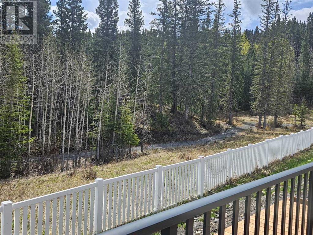 351 Elizabeth Avenue, Nordegg, Alberta  T0M 2H0 - Photo 48 - A2198160