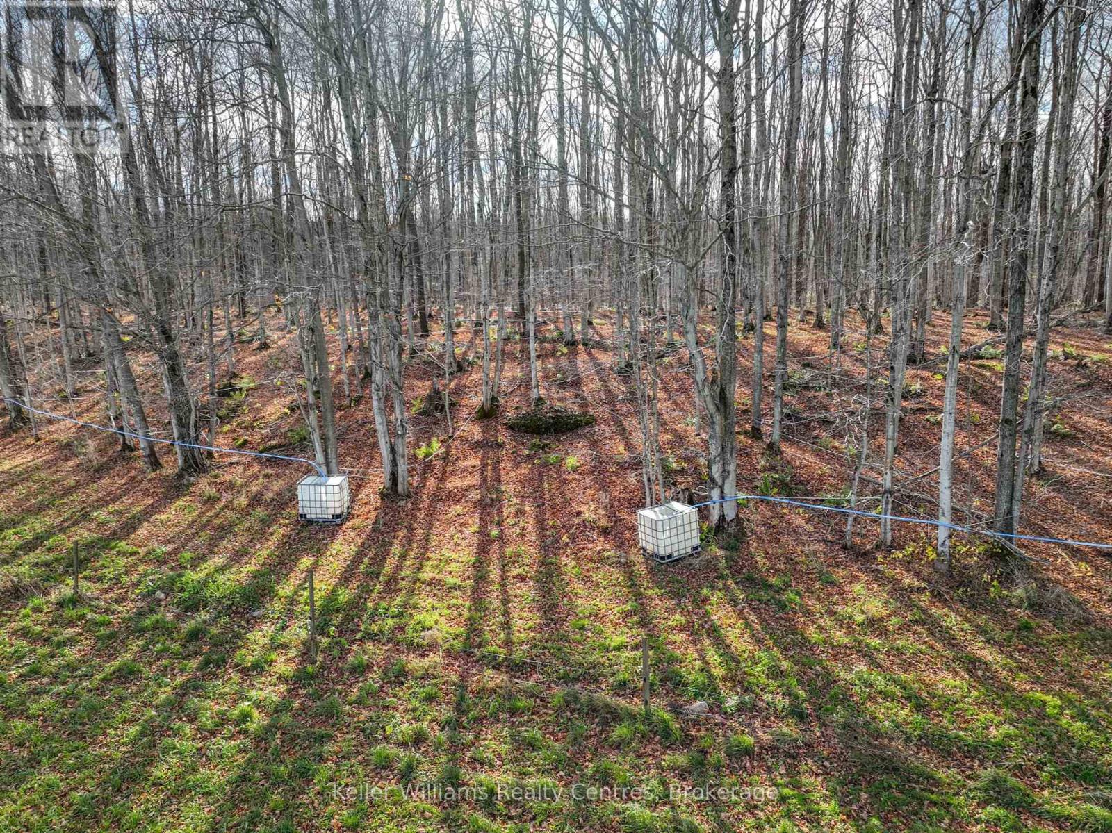 463176 Concession 24 Side Road S, Georgian Bluffs, Ontario  N0H 2T0 - Photo 10 - X12079462