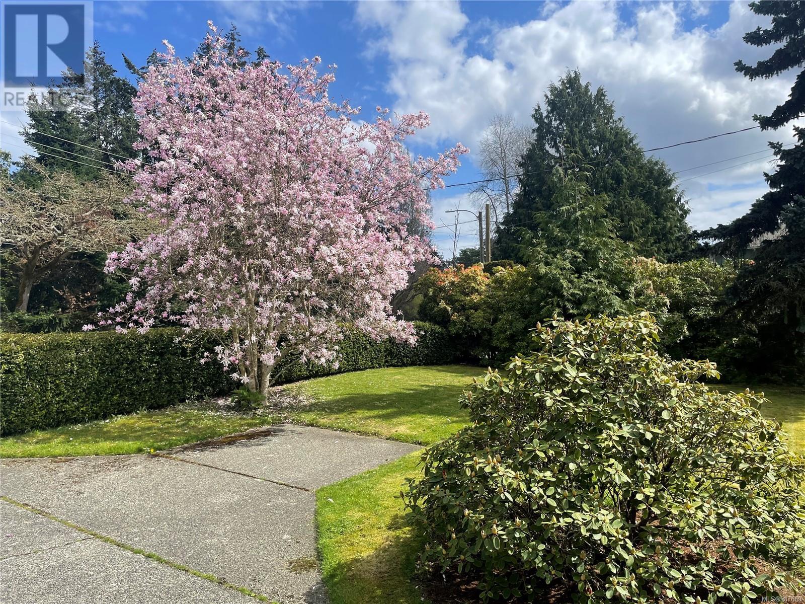 Property at 4790 Cordova Bay Rd image 2