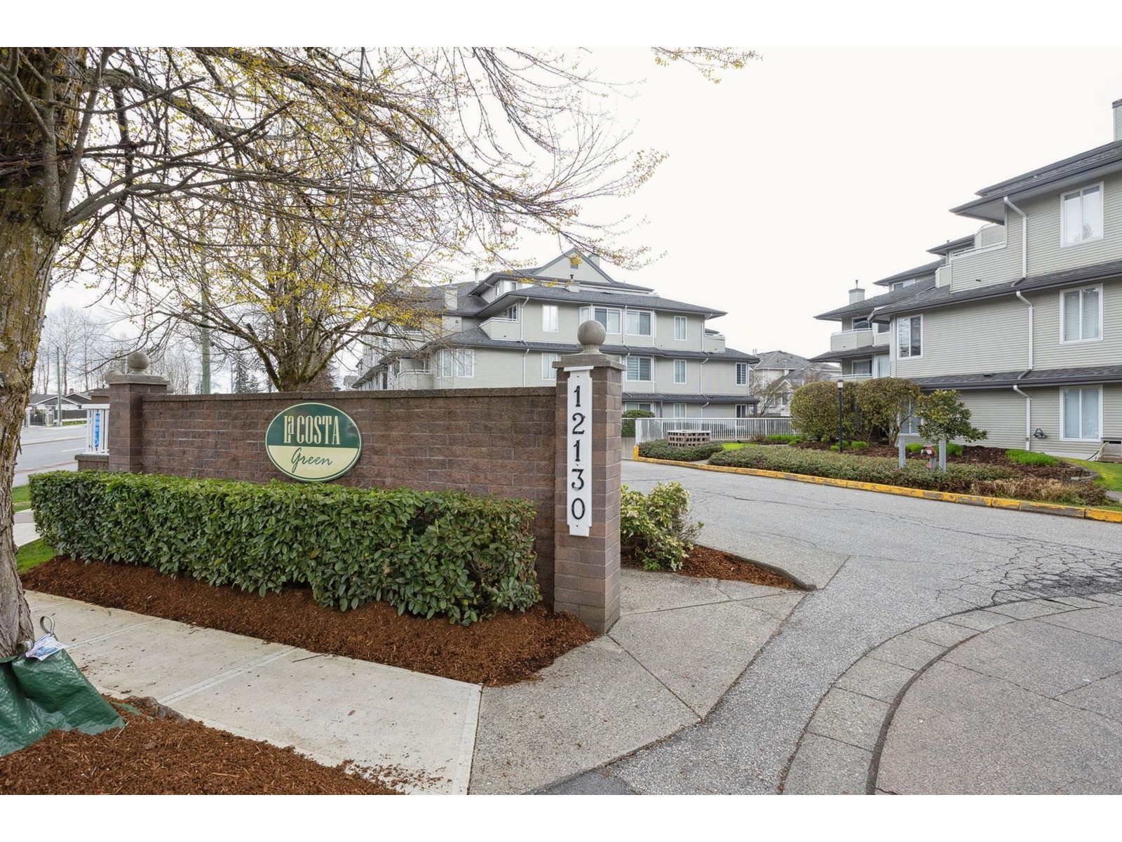 Property at 304 12130 80 AVENUE image 1