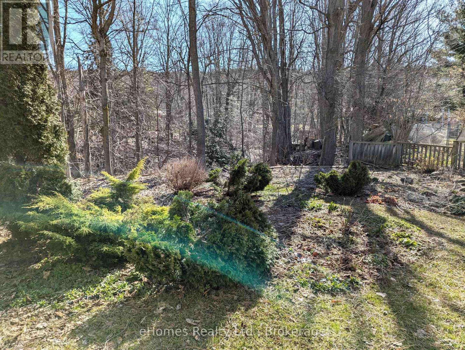170 5th Avenue E, Owen Sound, Ontario  N4K 6C7 - Photo 8 - X12079544