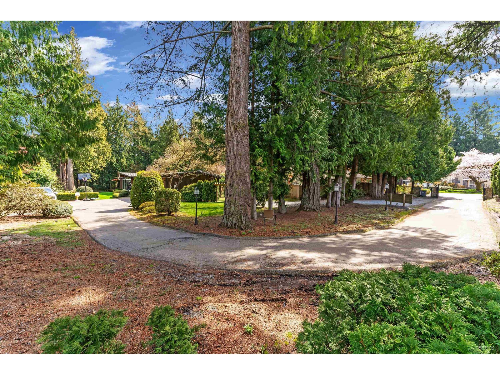 14243 31a Avenue, Surrey, British Columbia  V4P 2J3 - Photo 3 - R2987427