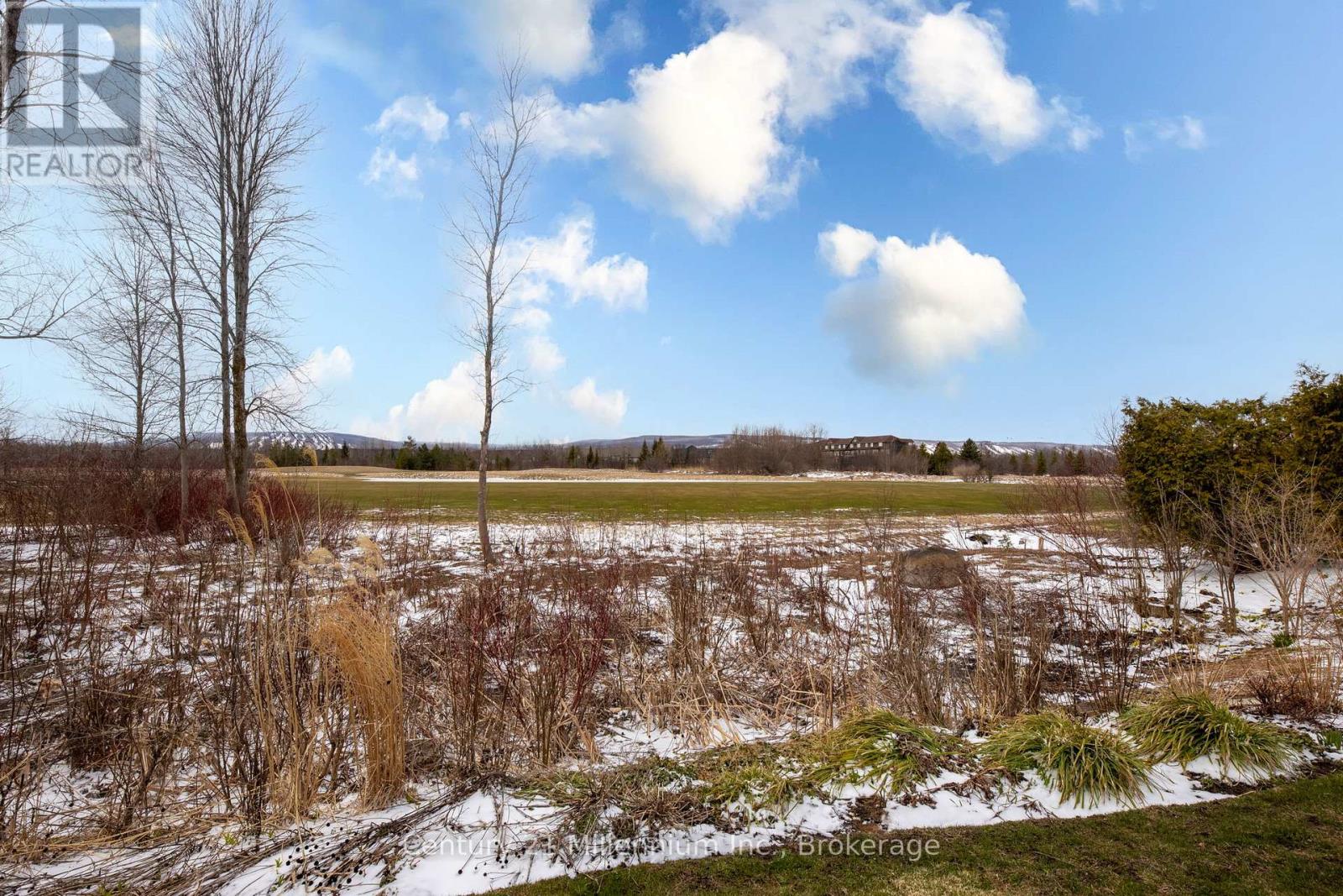 19 - 127 Fairway Crescent Ne, Collingwood, Ontario  L9Y 5B4 - Photo 30 - S12079725