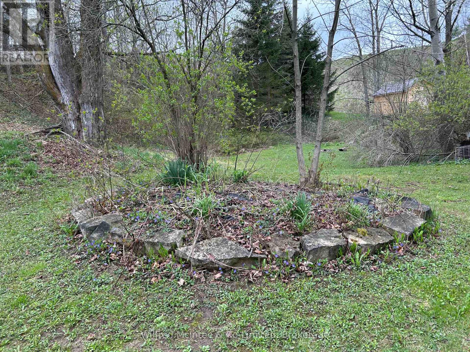 558 Queen Street N, Arran-Elderslie, Ontario  N0G 2N0 - Photo 36 - X12016382