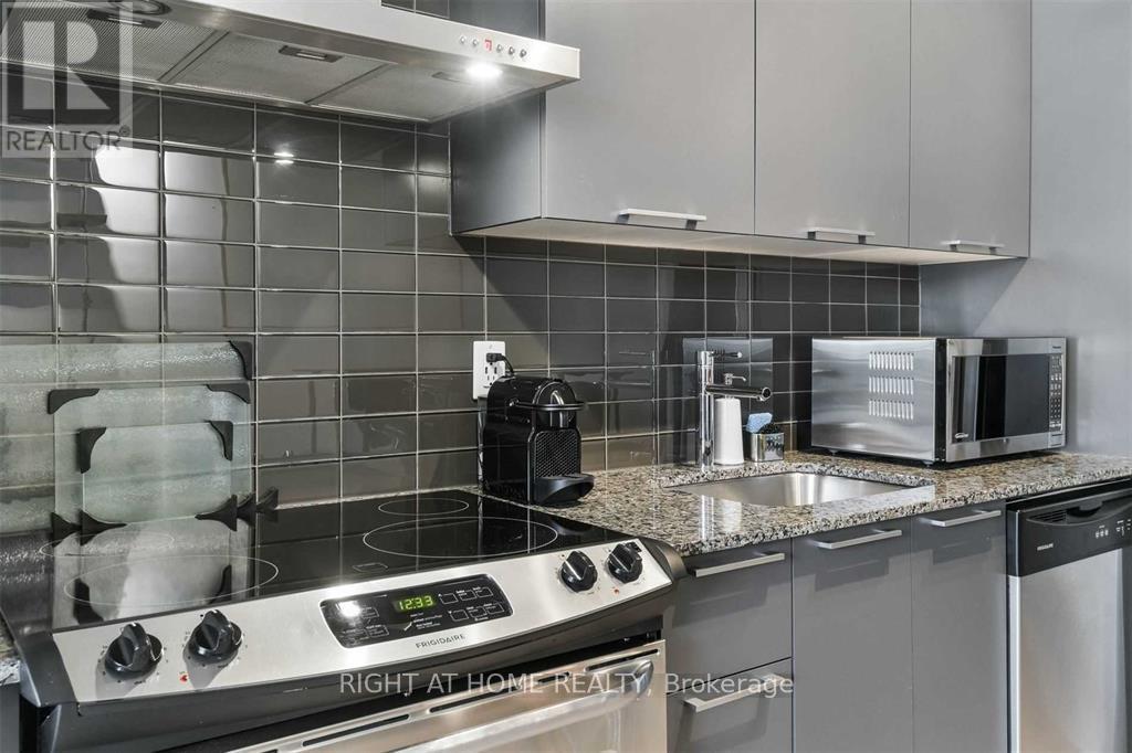 602 - 650 King Street W, Toronto, Ontario  M5V 0H6 - Photo 3 - C12079762
