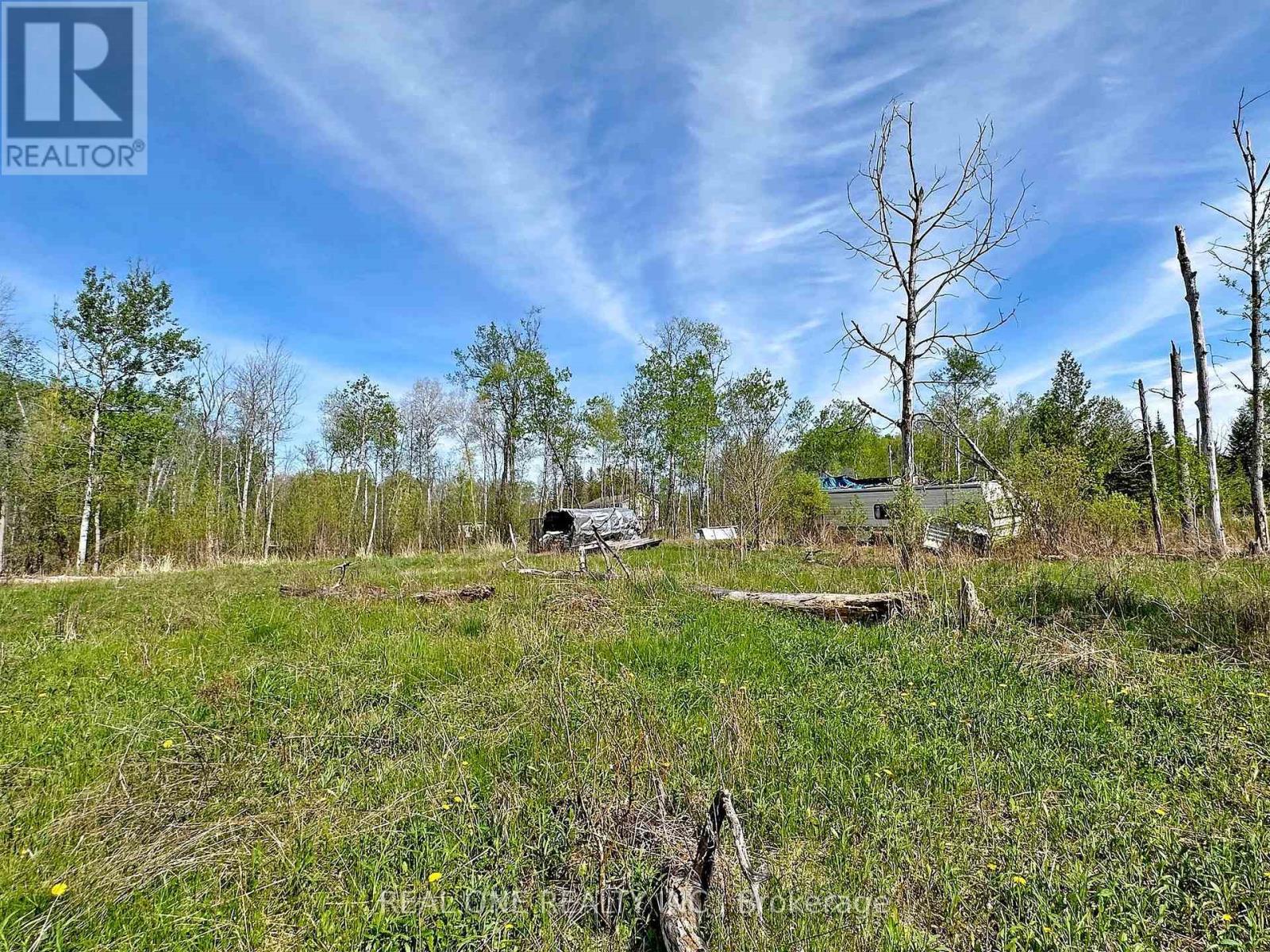4778 Holborn Road, East Gwillimbury, Ontario  L0G 1N0 - Photo 10 - N12079765