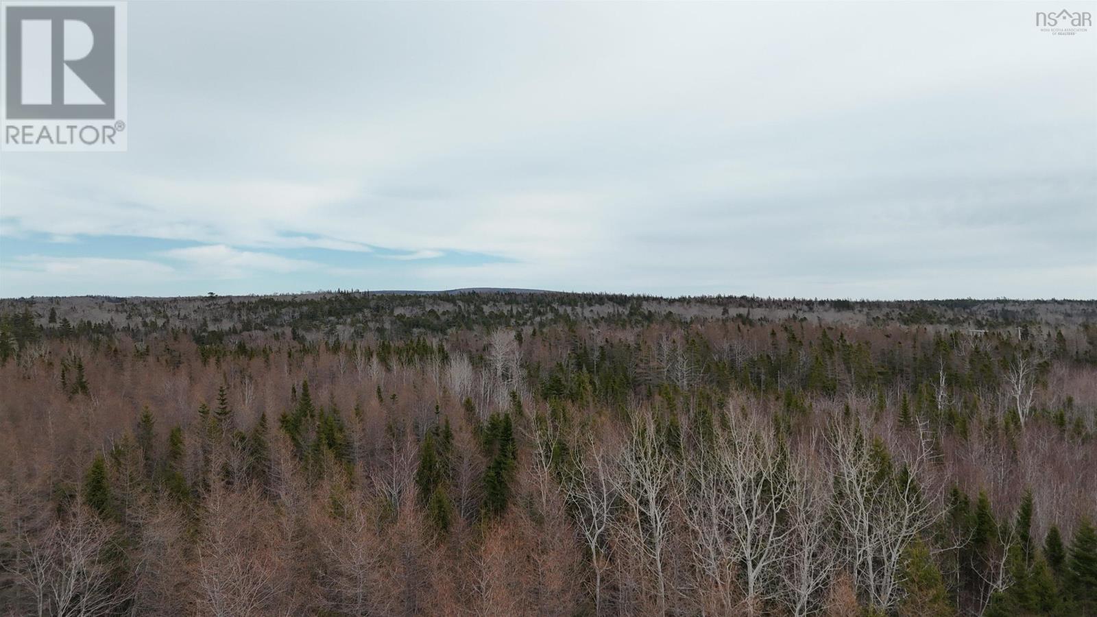0 Highway 223, Little Narrows, Nova Scotia  B0E 1T0 - Photo 6 - 202507691