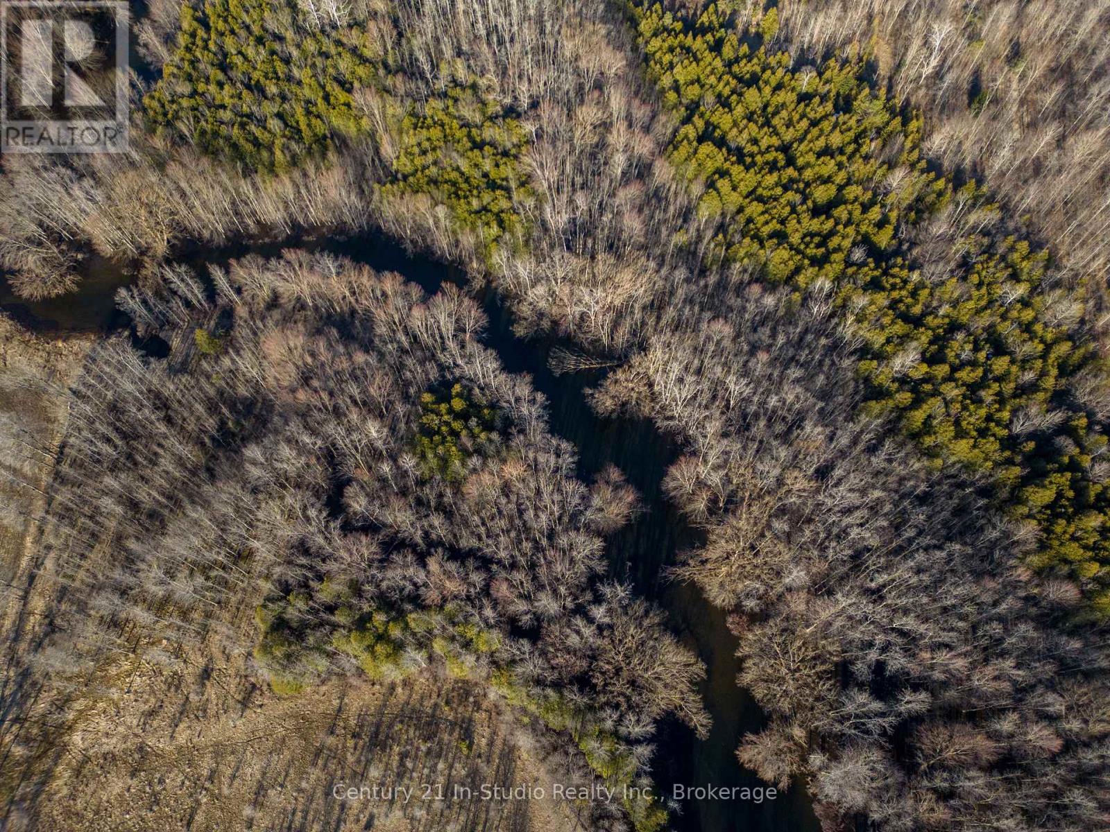 N/a Hwy 10 Highway, Georgian Bluffs, Ontario  N4K 3Y2 - Photo 10 - X12077817