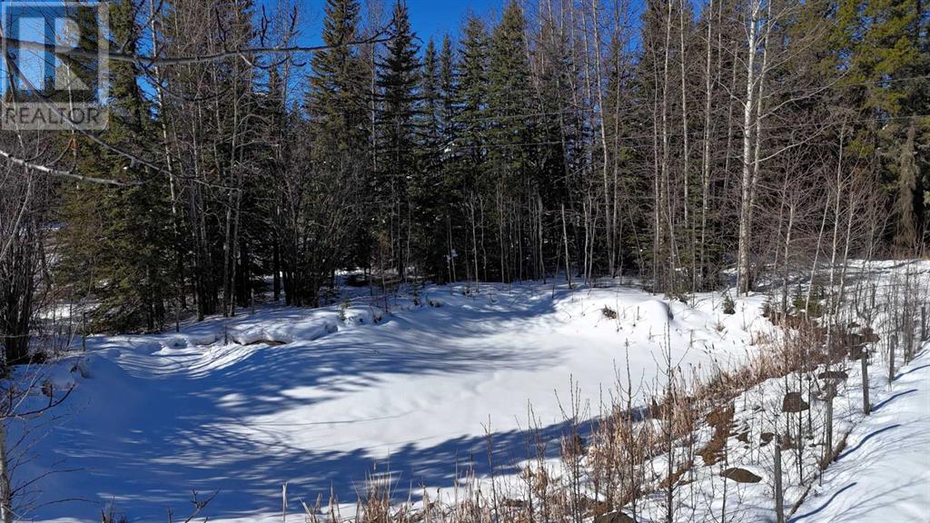17414 Highway 748 N, Rural Yellowhead County, Alberta  T7E 3N7 - Photo 16 - A2205902