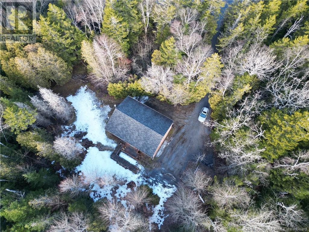 Property at 50 MCGILL Road image 2