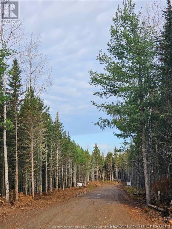 Lot 23-2 B de la paix, Sainte-Marie-De-Kent, New Brunswick
