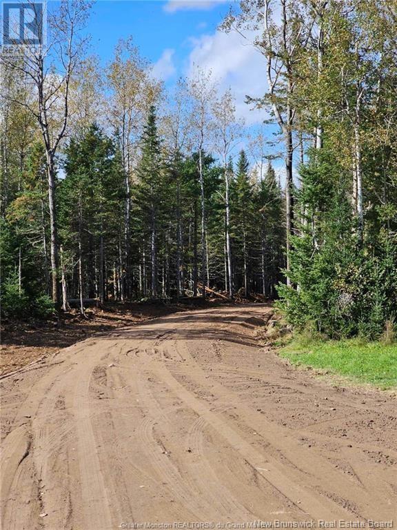 Lot 23-2 B De La Paix, Sainte-Marie-De-Kent, New Brunswick  E4S 2L8 - Photo 11 - NB116051