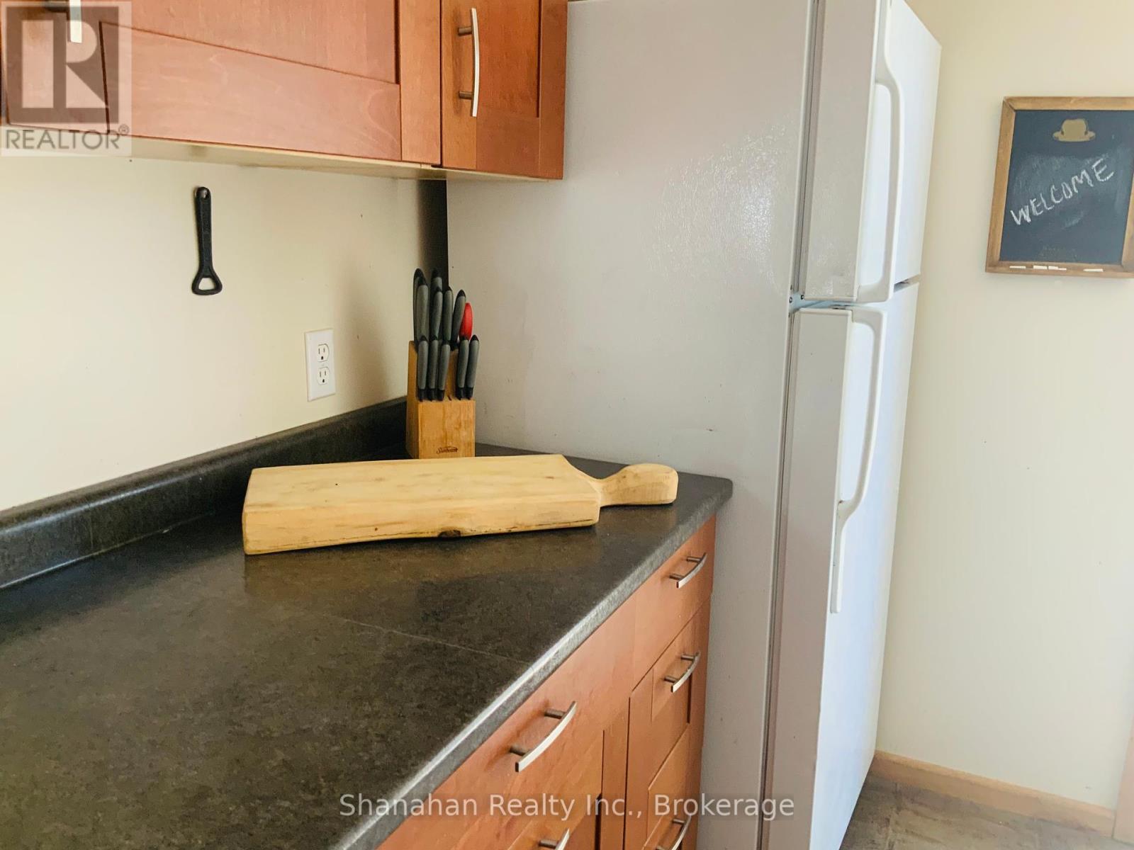 46 Maple Golf Crescent, Northern Bruce Peninsula, Ontario  N0H 2R0 - Photo 16 - X12055599