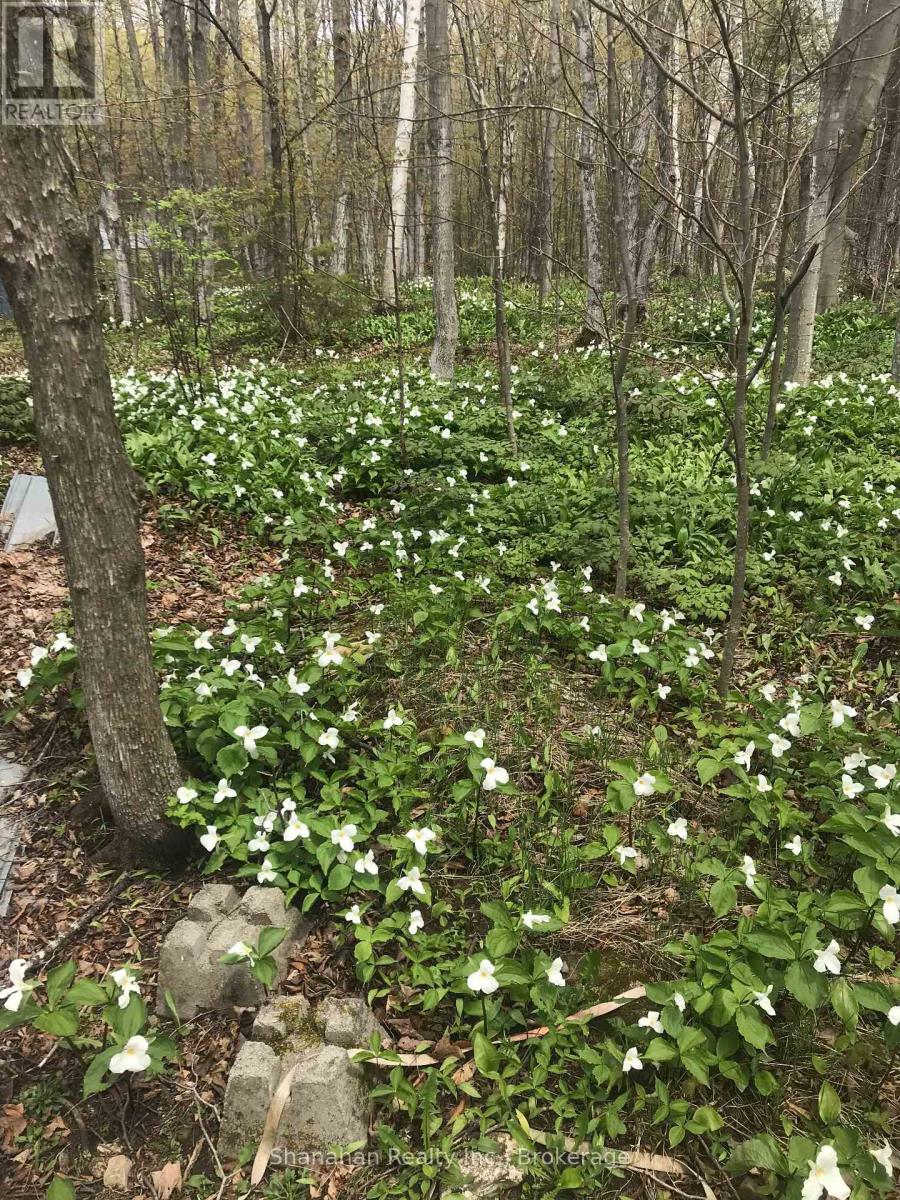 46 Maple Golf Crescent, Northern Bruce Peninsula, Ontario  N0H 2R0 - Photo 3 - X12055599