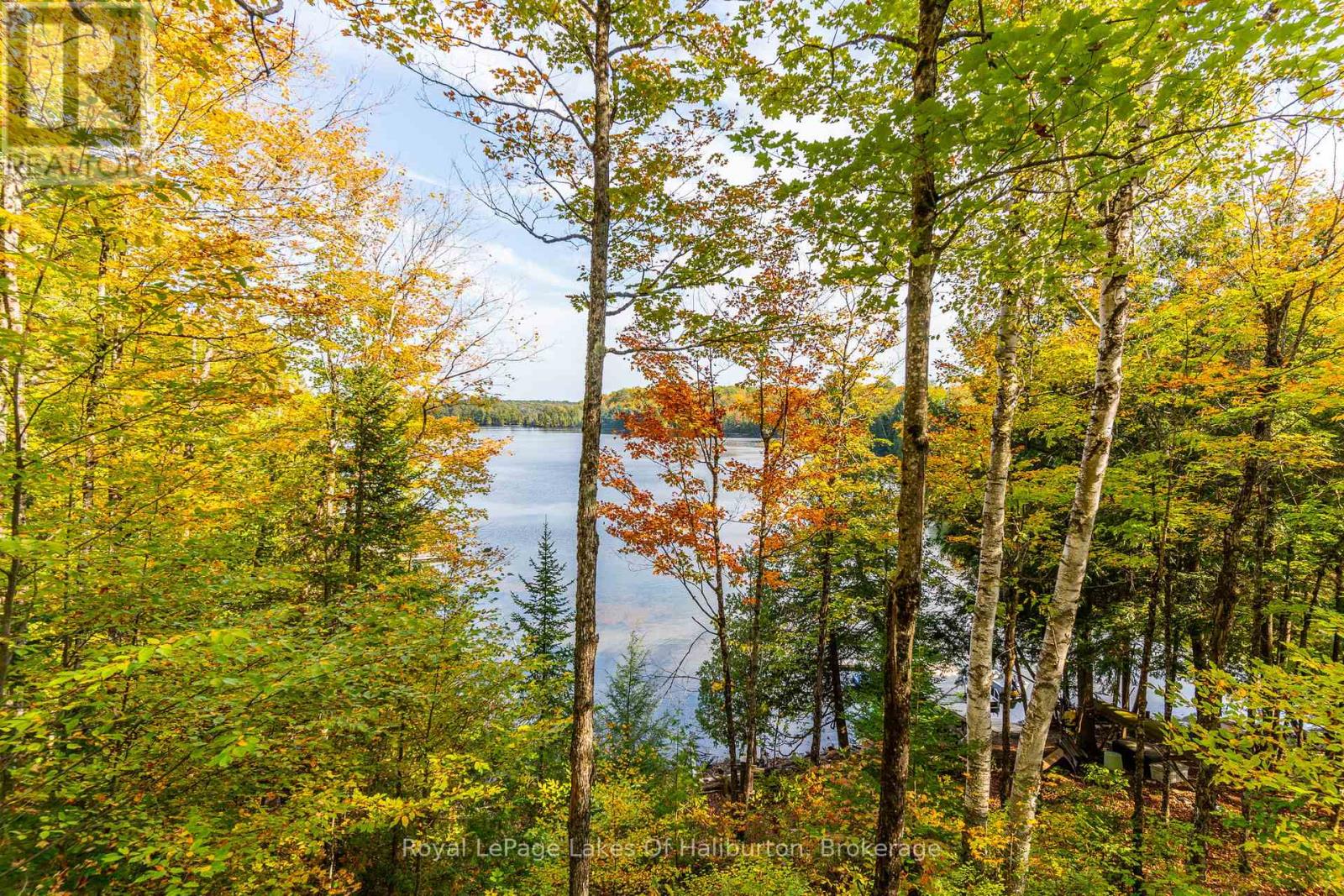 48 Russell Drive, Trent Lakes, Ontario  K0M 2A0 - Photo 12 - X12075615