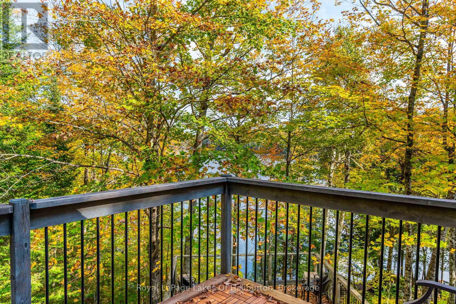 48 Russell Drive, Trent Lakes, Ontario  K0M 2A0 - Photo 38 - X12075615